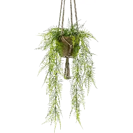 Asparagus Plumoses bush - kunstplant - Net toegevoegd