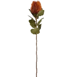 Koop vandaag | Banksia oranje - kunstplant