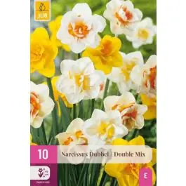Narcissus Dubbel Mix - 10 stuks | Populair bij klanten