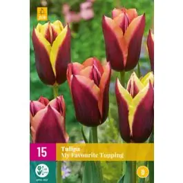 Direct van de fabrikant | Tulipa My Favourite Topping