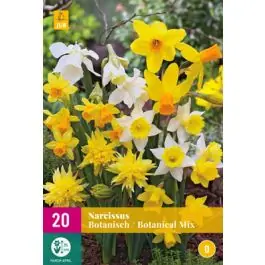 Meest verkocht | Narcissus Botanisch Mix - 20 stuks