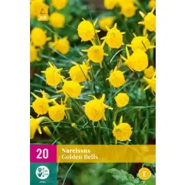 Snelle levering | Narcissus Golden Bells - 20 stuks