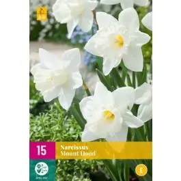 Narcissus Mount Hood - 15 stuks - Voordelig