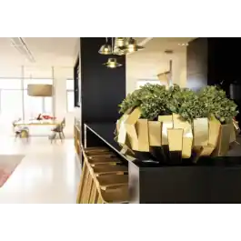 Nieuwe release - Mindro Gold Bowl