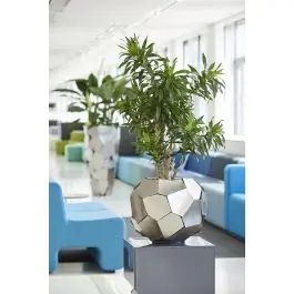 Laatste kans - Roxas Globe Steel