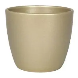 Koop vandaag - Boule Goud S