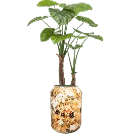 Voordelig - Alocasia vertakt in Designed by Lammie Cotton Cream - kunstplant