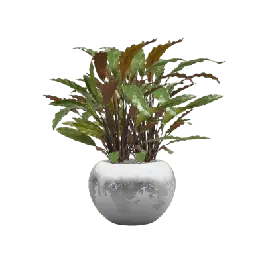 Hoog gewaardeerd - Calathea Rufibarba Blue Grass in Luxe Lite Glossy Globe Zilver - kunstplant