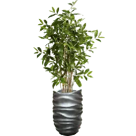 Nieuw in het assortiment | Dracaena in Metallic Lee Partner Grey - kunstplant
