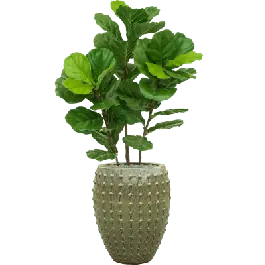Favoriet van klanten | Fiddle Tree in Laos Emperor Groen - kunstplant