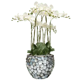 Extra voordeel - Phalaenopsis in Oceana Pearl Abalone Couple Blauw - kunstplant