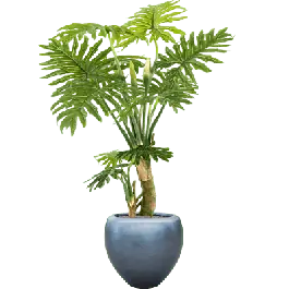 Philodendron in Metallic Couple Ice Blue - kunstplant - Nu beschikbaar