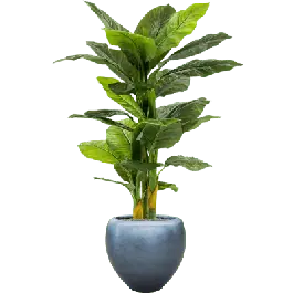 Spathiphyllum in Metallic Couple Ice Blue - kunstplant - Scherpe prijs