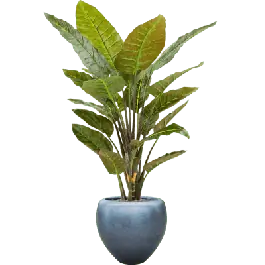 Strelitzia in Metallic Couple Ice Blue - kunstplant | Uitverkoop