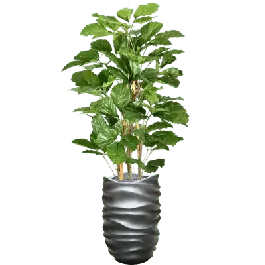 Direct beschikbaar | Tetrastigma in Metallic Lee Partner Grey - kunstplant
