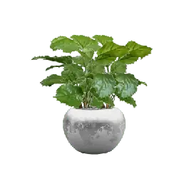Makkelijk bestellen | Tetrastigma Voinierianum in Luxe Lite Glossy Globe Zilver - kunstplant