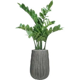 Alleen vandaag | Zamioculcas in Ribbed Cody High Grijs - kunstplant
