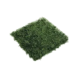 Koopje - Buxus - kunst plantenwand