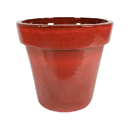 Vase Ceramic Rood - Topproduct