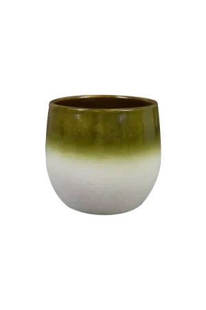 Fem Pear Green - Snelle verzending