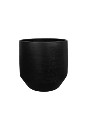 Populair bij klanten - Norell Black