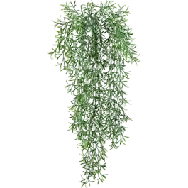 Asparagus Falcatus - kunstplant - Koop vandaag