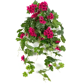 Beste prijs | Geranium paars - kunstplant
