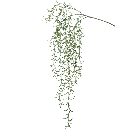 Hoya linearis tak - kunstplant | Uitverkoop