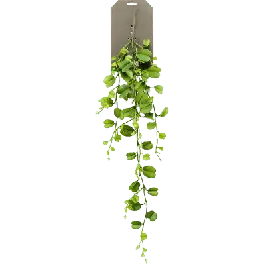 Hoya kerrii - kunstplant - Deal