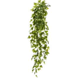 Nu beschikbaar | Hedera Goldchild - kunstplant