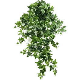 Veilig winkelen - Hedera bont - kunstplant
