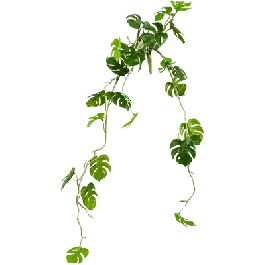 Monstera deliciosa blad - kunstplant - Nu beschikbaar