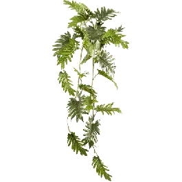 Philodendron Xanadu blad - kunstplant - Nieuw in de shop