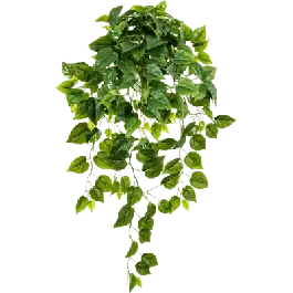 Philodendron Scandens - kunstplant | Nog maar een paar beschikbaar