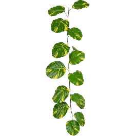 Prijs verlaagd | Scindapsus Aureum - kunstplant