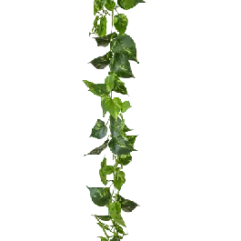 Topdeal - Scindapsus XXL - kunstplant