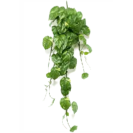 Scindapsus Aureum bush - kunstplant - Veilige betaling