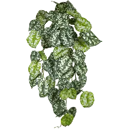 Tijdelijk aanbod - Scindapsus Pictus bush - kunstplant