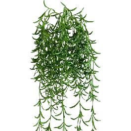 Rhipsalis - kunstplant | Nieuw