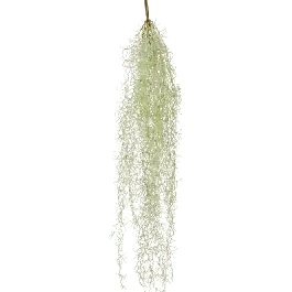 Tillandsia grijs - kunstplant | Beste prijs