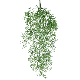 Asparagus Falcatus bush - kunstplant | Alleen deze week