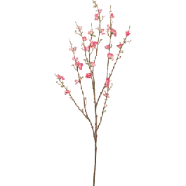 Bloesem tak roze - kunstplant | Speciale deal