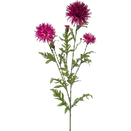 Aanbieding | Centaurea - kunstplant
