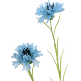 Korenbloem - kunstplant | Topproduct