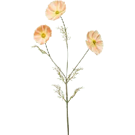 Cosmos oranje - kunstplant | Nog enkele stuks