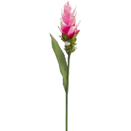 Curcuma - kunstplant | Fabrieksprijs