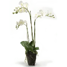 Eenvoudig retourneren | Orchidee wit - kunstplant