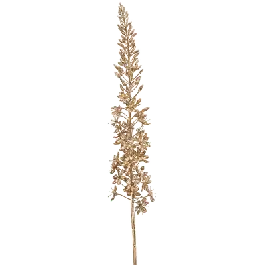 Veel gekozen | Eremurus goud - kunstplant