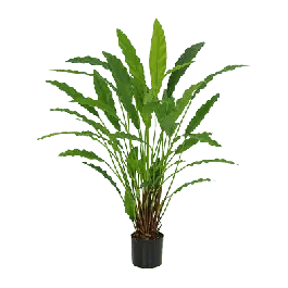 Nieuw - Calathea Wavestar - kunstplant
