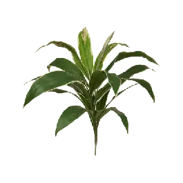 Bespaar meer | Cordyline groen/geel - kunstplant